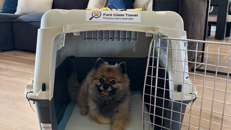 A Pomeranian sitting calmly inside an IATA-compliant pet travel crate with metal door and clip-on bowls