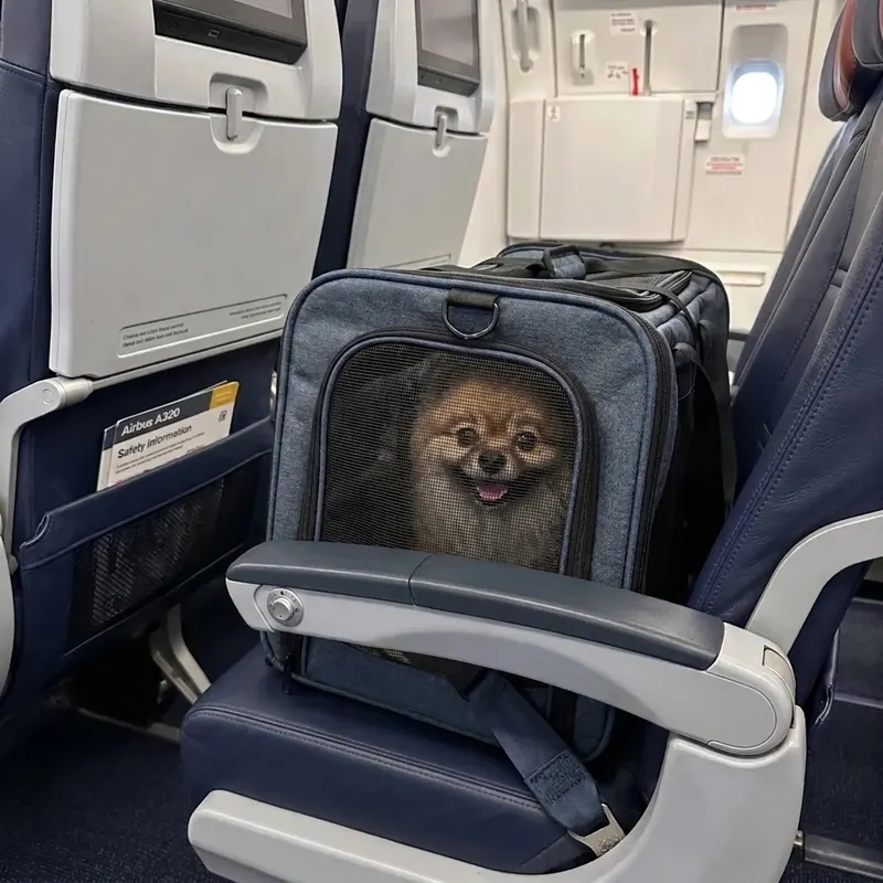 In-cabin